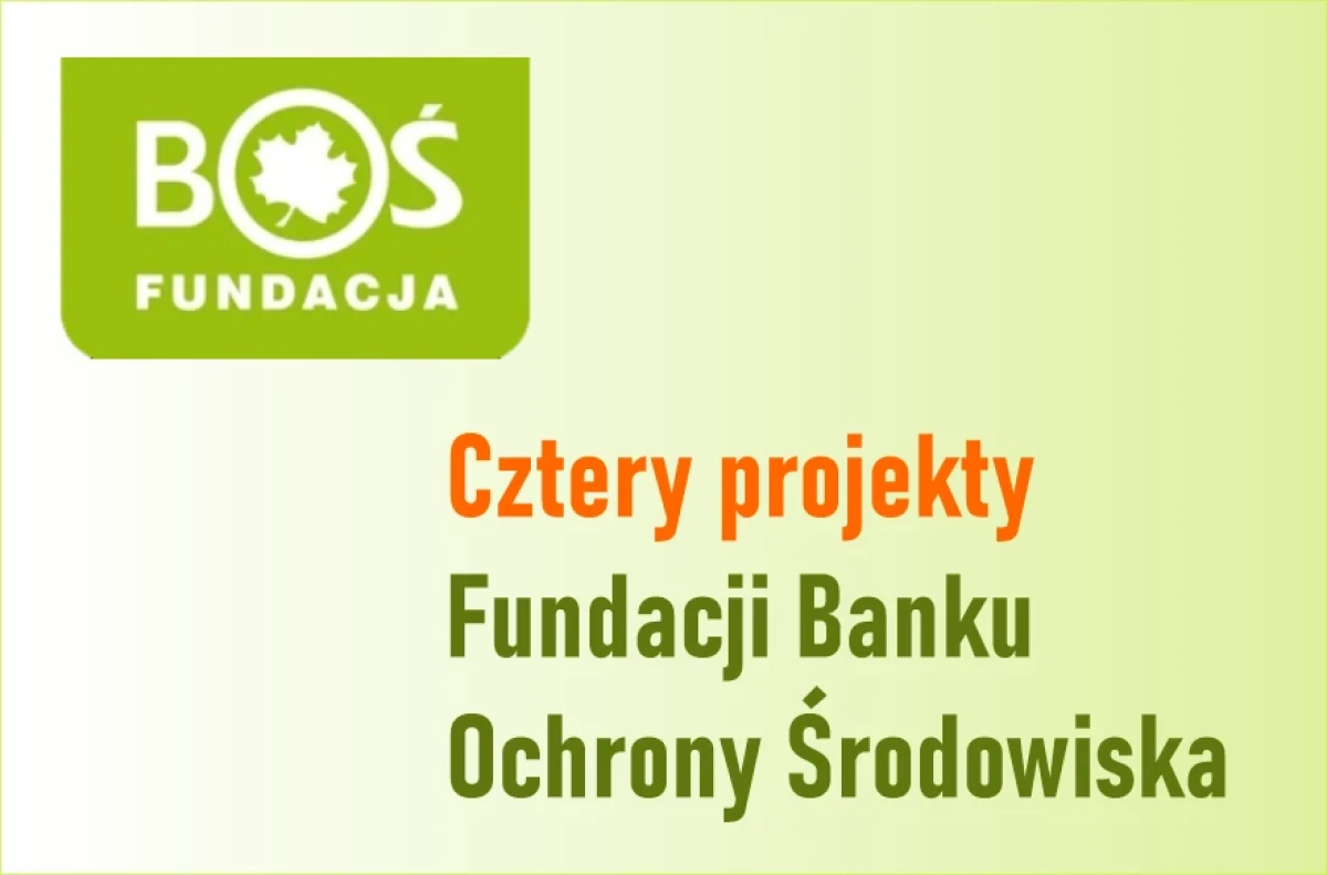 Projekty Fundacji Banku Ochrony Środowiska